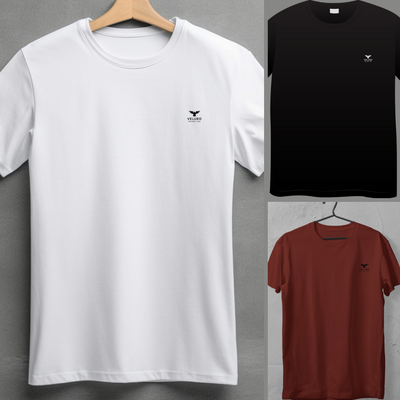 Regular fit 3 tshirts combo